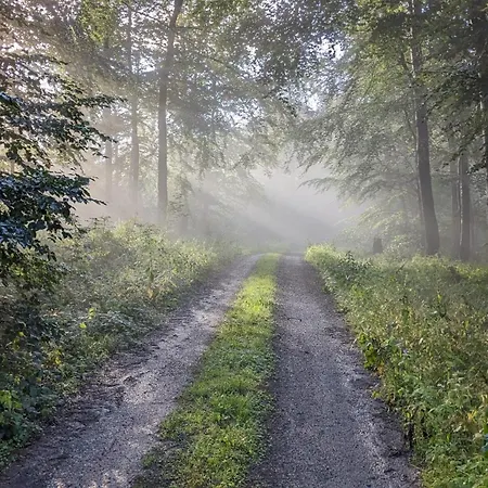 Lejlighed Rumbeck Hessisch Oldendorf